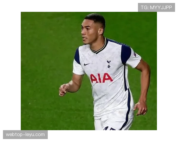 安特卫普防线稳固，助力地区安全与稳定开创新局面